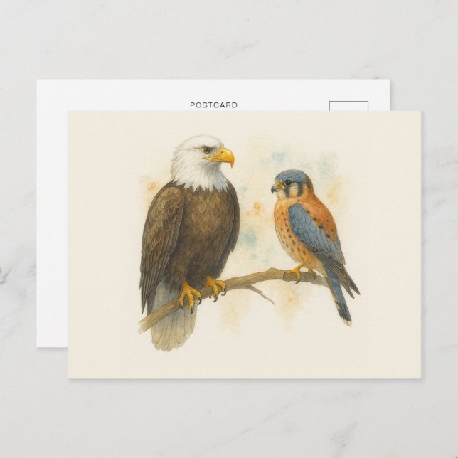 Bald Eagle and American Kestrel Raptor Postcard (Front/Back)