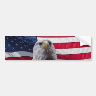 Bald eagle and flag