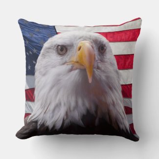 Bald eagle and flag