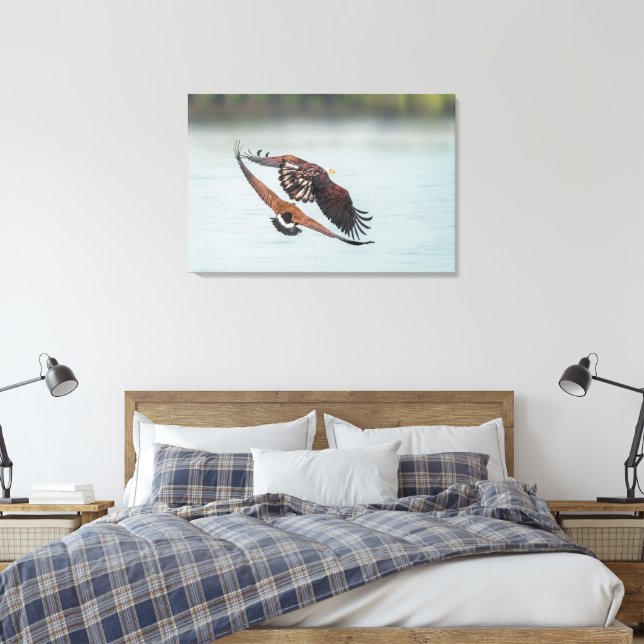 Bald Eagle and Goose Nature Wildlife Fine Art Canvas Print (Insitu(Bedroom))