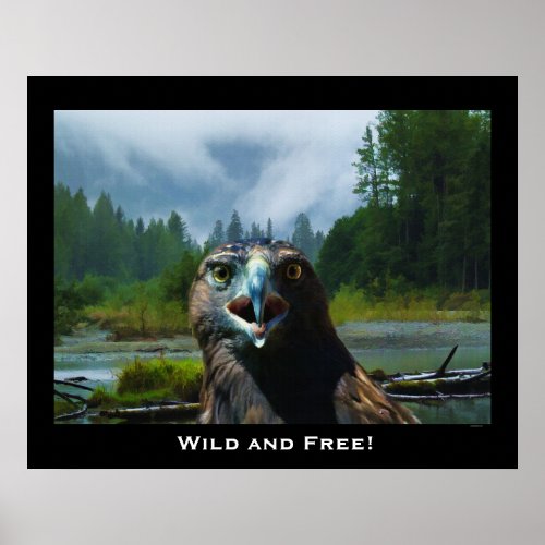 Bald Eagle and Misty Alaskan River Motivational Poster