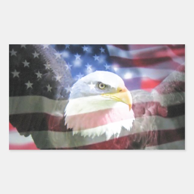 bald eagle and U.S.A. flag Rectangular Sticker (Front)