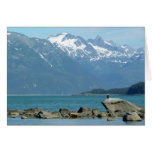 Bald Eagle at Skagway Alaska Cards