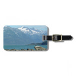 Bald Eagle at Skagway Alaska Luggage Tag