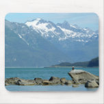 Bald Eagle at Skagway Alaska Mouse Pad