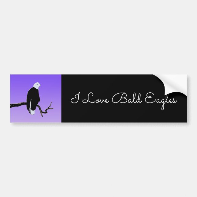 Bald Eagle at Sunset  - Original Wildlife Art Bumper Sticker (Front)