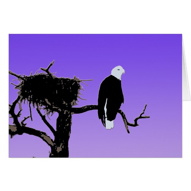 Bald Eagle at Sunset  - Original Wildlife Art Cards (Front Horizontal)