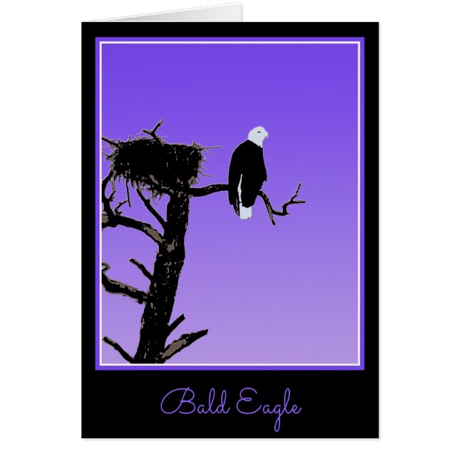 Bald Eagle at Sunset  - Original Wildlife Art Cards (Front)