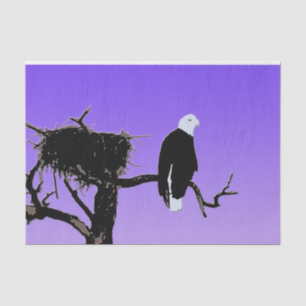 Bald Eagle at Sunset - Original Wildlife Art Tissue Paper