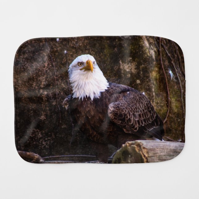 Bald Eagle Baby Burp Cloth (Front Horizontal)