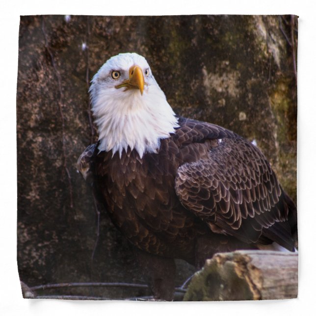 Bald Eagle Bandana (Front)
