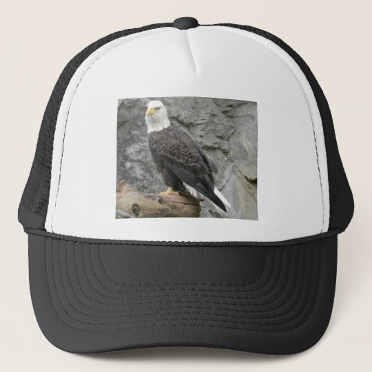 Bald Eagle Baseball Hat | Zazzle.com
