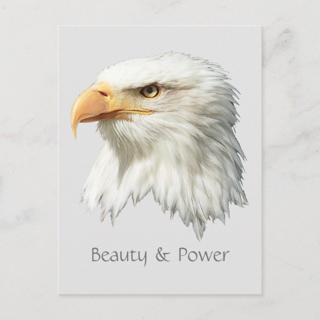 Bald Eagle Beauty & Power customizable Postcard (Front)