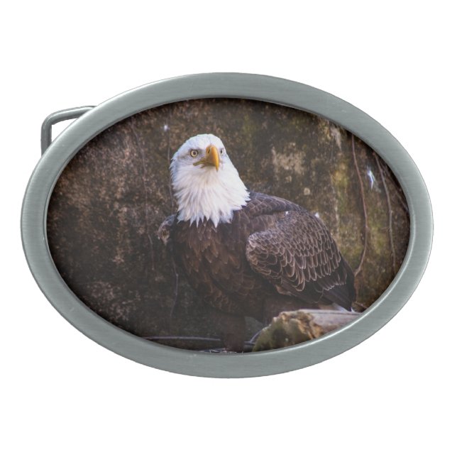 Bald Eagle Belt Buckle (Front)