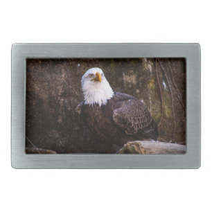 Bald Eagle Belt Buckle