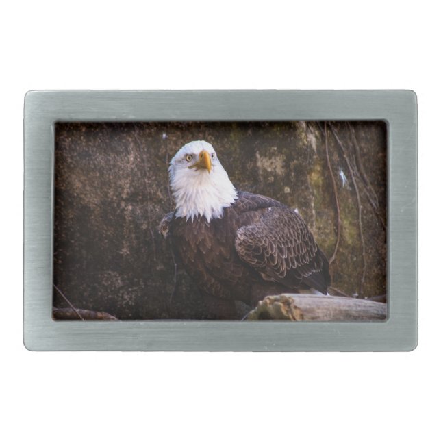 Bald Eagle Belt Buckle (Front)