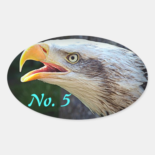 Bald Eagle Bin Stickers (Front)