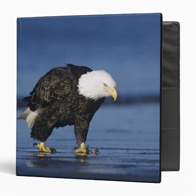 Bald Eagle Binder (Front/Inside)