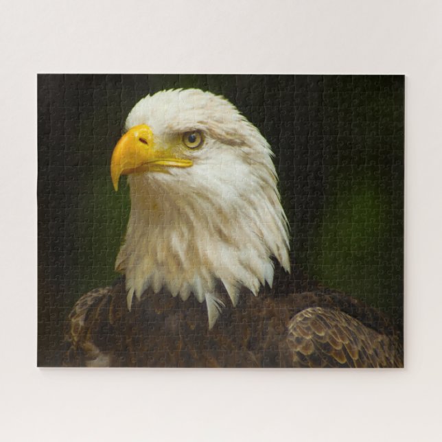 Bald Eagle Bird of Prey. Jigsaw Puzzle (Horizontal)