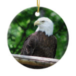 Bald Eagle Bird Ornament