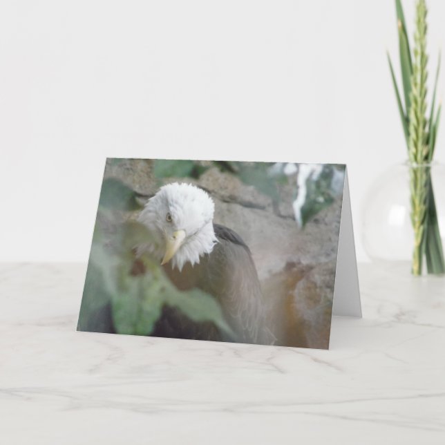 Bald Eagle Bird Thank you, Note Card (Front)
