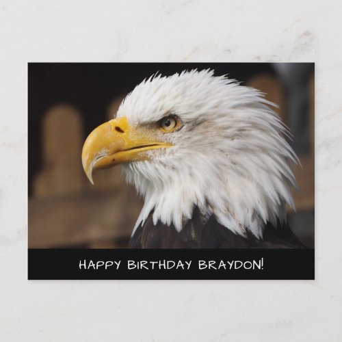 Bald Eagle Birthday Postcard
