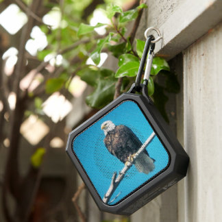 Bald Eagle Blackwater Bluetooth Speaker