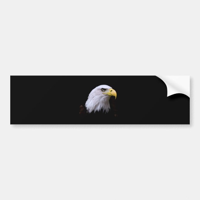 Bald Eagle Bumper Sticker (Front)