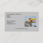 Bald Eagle Business Card