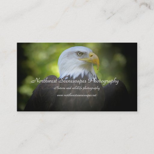 Customizable Bald Eagle business card