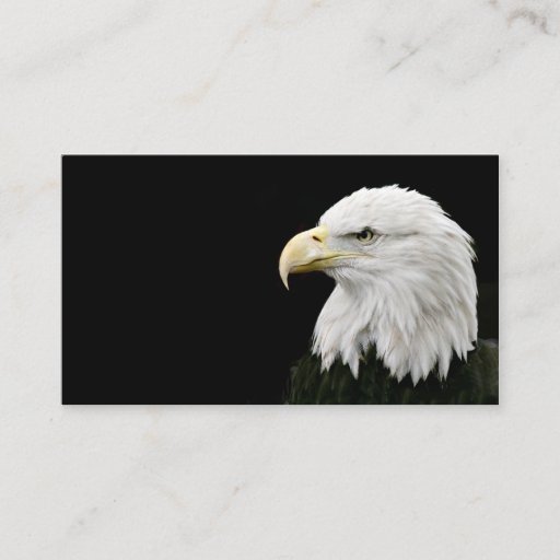 Customizable Bald Eagle business card