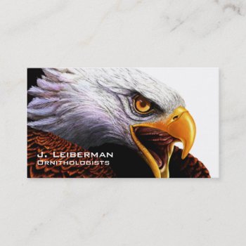 Bald Eagle Business Card by pixelholicBC at Zazzle