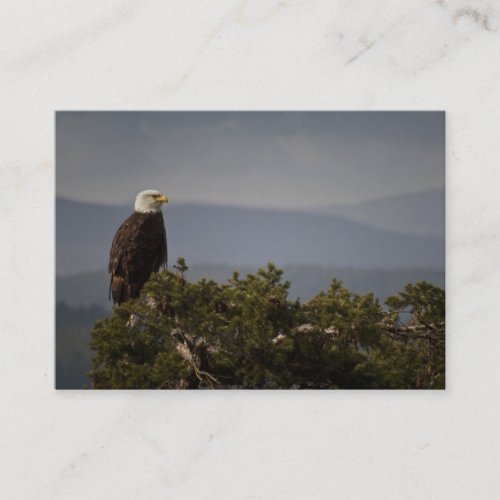 Bald Eagle _ Business Card