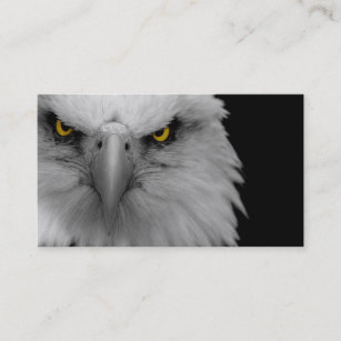 bald eagle business card