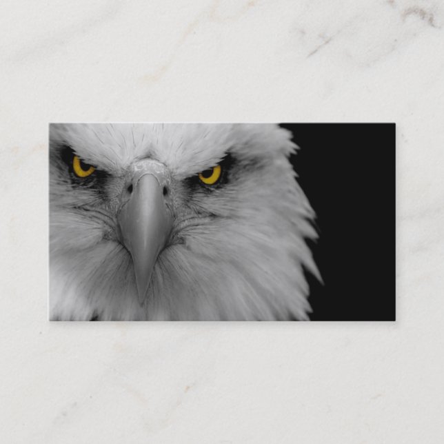 bald eagle business card (Front)