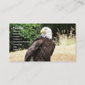 Bald Eagle. Business Card