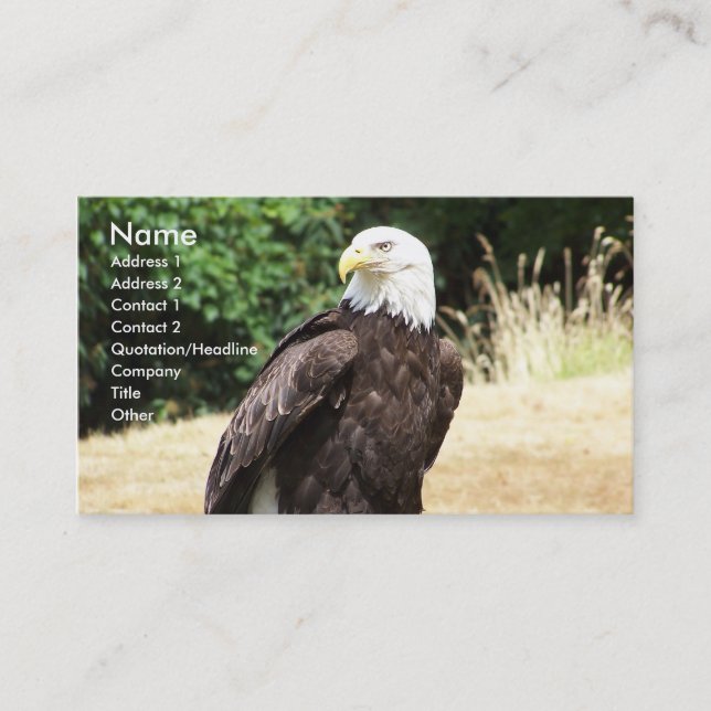 Bald Eagle. Business Card (Front)