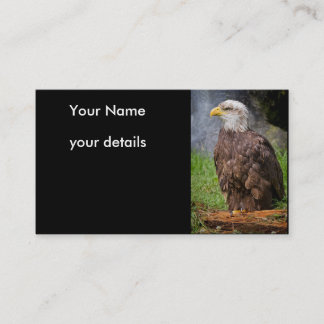 bald eagle business cards