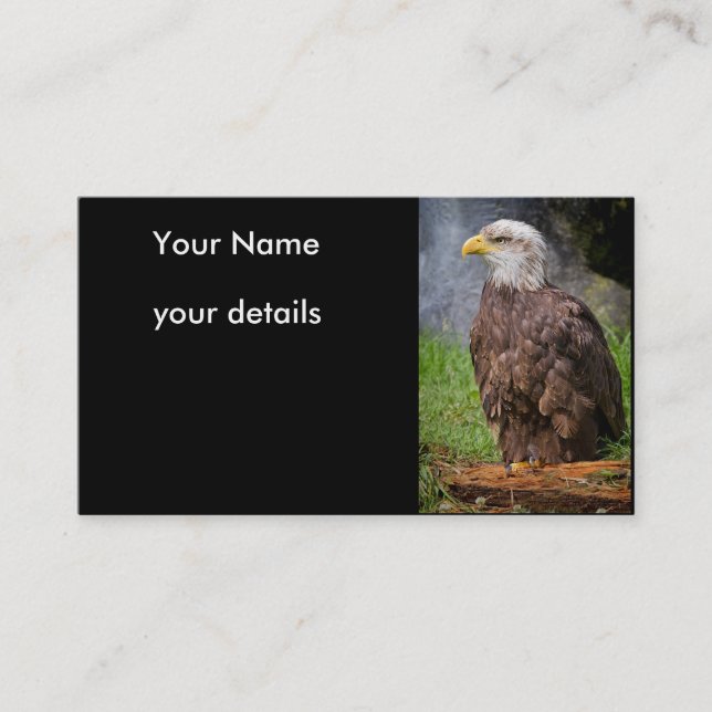 bald eagle business cards (Front)