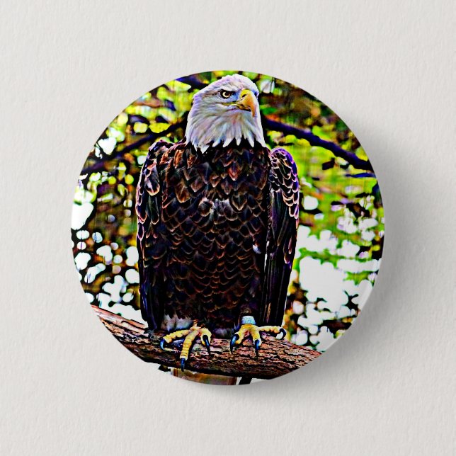 Bald Eagle Button (Front)
