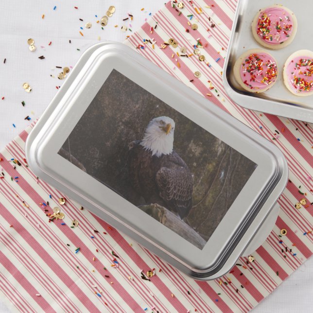 Bald Eagle Cake Pan (In Situ)