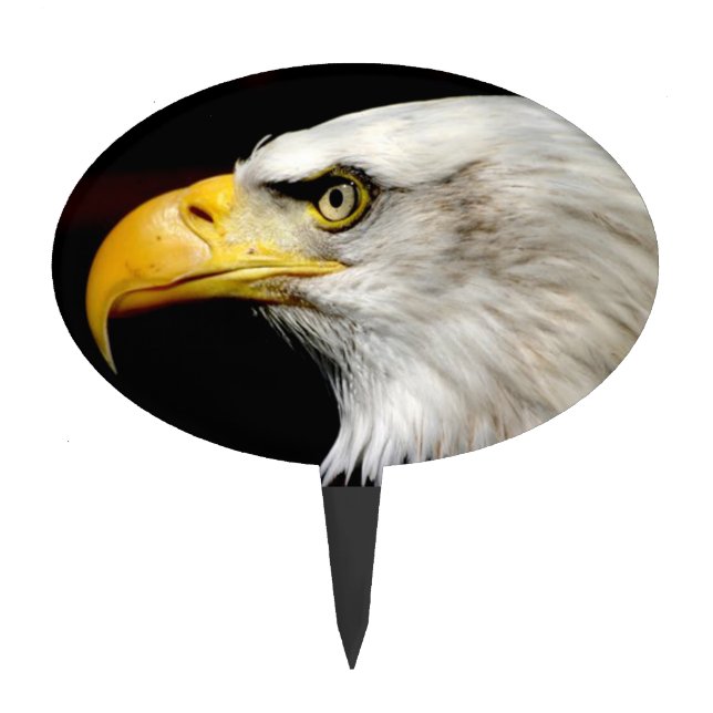 Bald Eagle Cake Topper (Front)