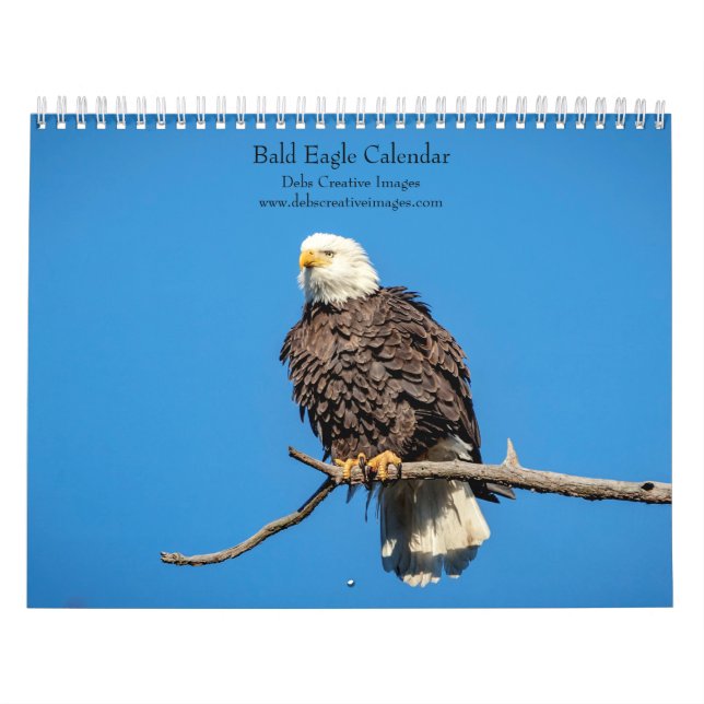 Bald Eagle Calendar 2026 (Cover)