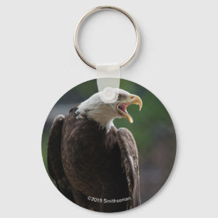 Bald Eagle Calling Keychain