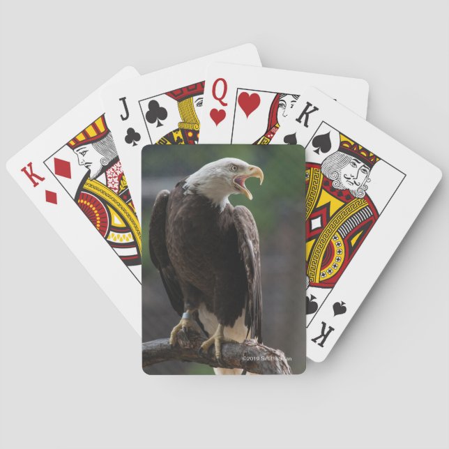 Bald Eagle Calling Poker Cards (Back)