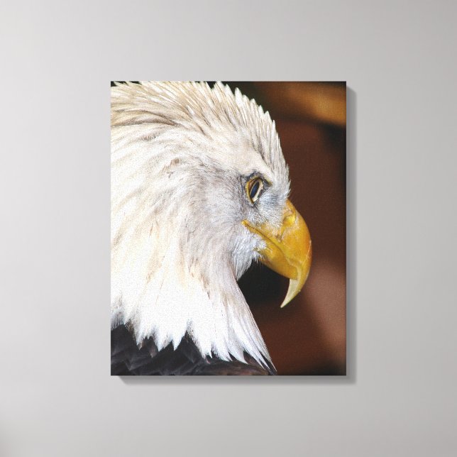 Bald Eagle Canvas Print (Front)
