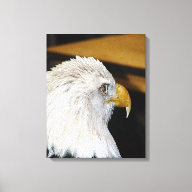 Bald Eagle Canvas Print (Front)