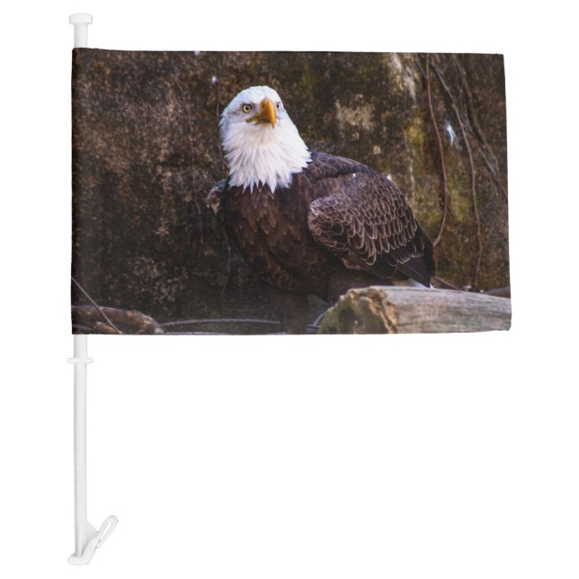 Bald Eagle Car Flag (Front)