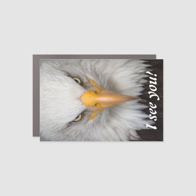 Bald eagle car magnet (Front)