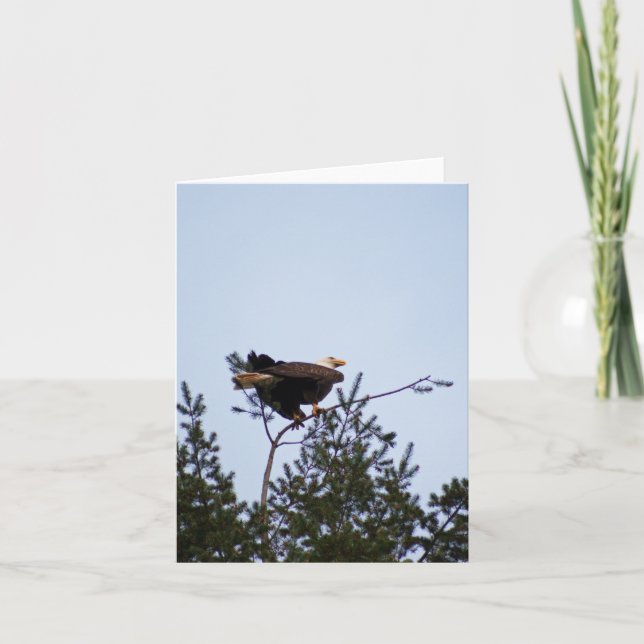 Bald Eagle Card (Front)